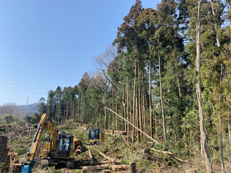 立木・山林買取