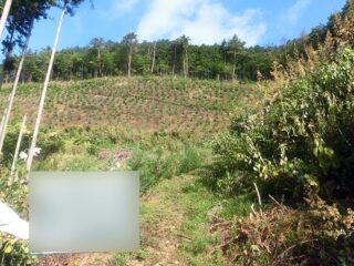 林業作業風景