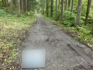 林業作業風景