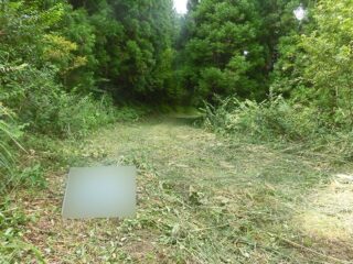 林業作業風景
