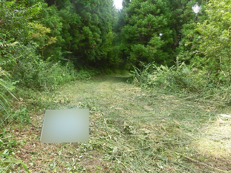 林業作業風景