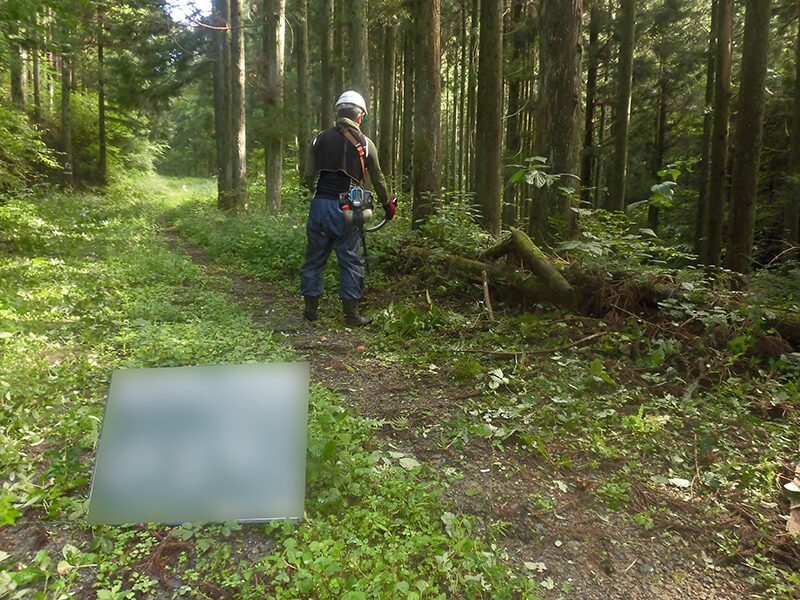 林業作業風景