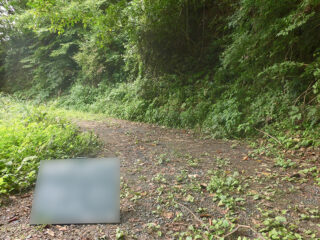 林業作業風景