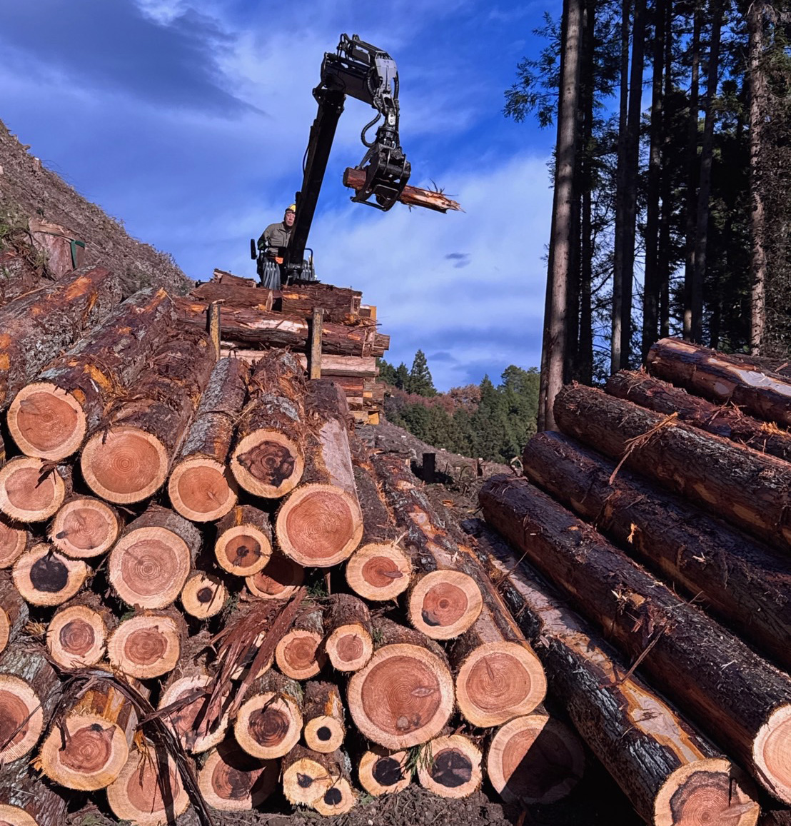 立木・山林買取