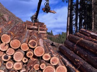 林業作業風景