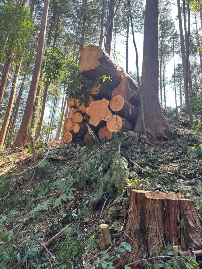 林業作業風景