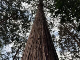 林業作業風景