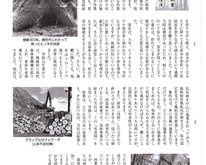業界誌「林業いばらき」に当社代表の紹介記事が掲載されました